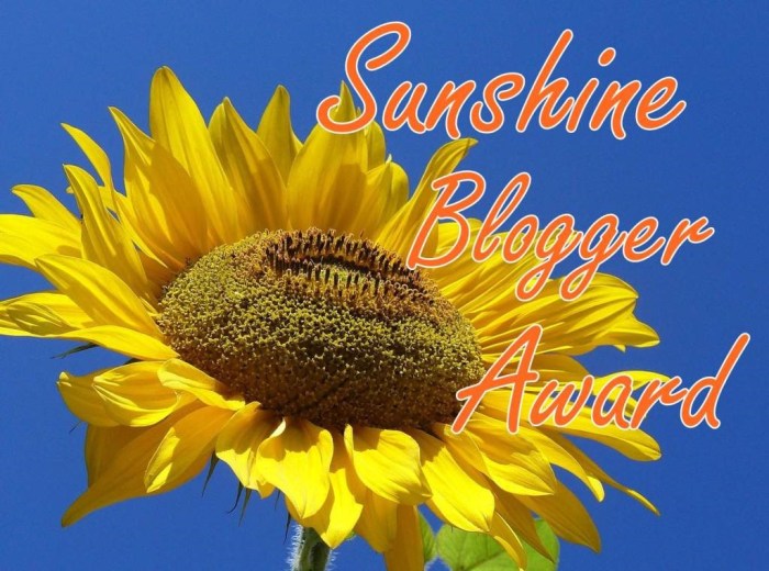 SunshineBlogger2